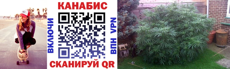 ссылка на мегу ССЫЛКА  Ветлуга  Марихуана марихуана 